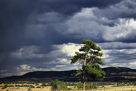 Stormy_weather_on_the_way_Colorado_USA_Western_USA_Nature_Photography_Canon_EOS_R5_Mark_II_2025_025.JPG