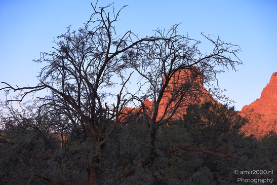 Sunrise_in_Bell_Rock_Loop_Trail_Sedona_Arizona_USA_Western_USA_Nature_Photography_Canon_EOS_R5_Mark_II_2025_041.JPG