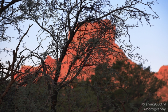Sunrise_in_Bell_Rock_Loop_Trail_Sedona_Arizona_USA_Western_USA_Nature_Photography_Canon_EOS_R5_Mark_II_2025_042.JPG