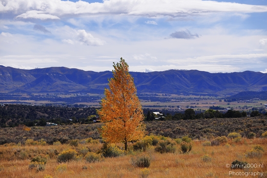 The_Amazing_Mesa_Verde_National_Park_Colorado_USA_Western_USA_Nature_Photography_Canon_EOS_R5_Mark_II_2025_011.JPG