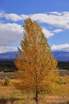 The_Amazing_Mesa_Verde_National_Park_Colorado_USA_Western_USA_Nature_Photography_Canon_EOS_R5_Mark_II_2025_012.JPG