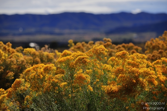 The_Amazing_Mesa_Verde_National_Park_Colorado_USA_Western_USA_Nature_Photography_Canon_EOS_R5_Mark_II_2025_013.JPG