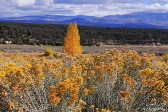 The_Amazing_Mesa_Verde_National_Park_Colorado_USA_Western_USA_Nature_Photography_Canon_EOS_R5_Mark_II_2025_014.JPG
