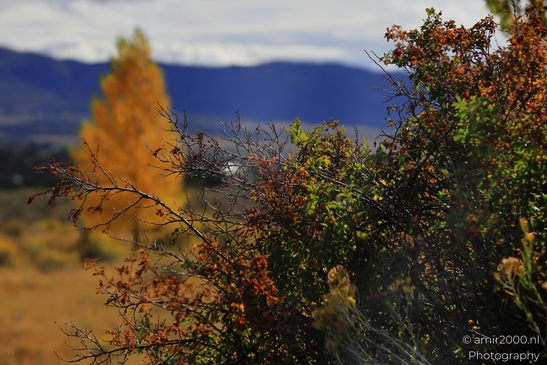 The_Amazing_Mesa_Verde_National_Park_Colorado_USA_Western_USA_Nature_Photography_Canon_EOS_R5_Mark_II_2025_015.JPG
