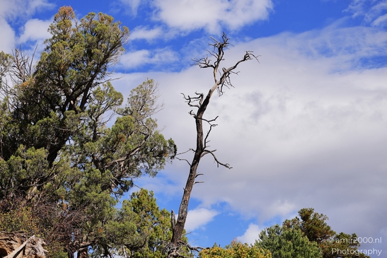 The_Amazing_Mesa_Verde_National_Park_Colorado_USA_Western_USA_Nature_Photography_Canon_EOS_R5_Mark_II_2025_020.JPG