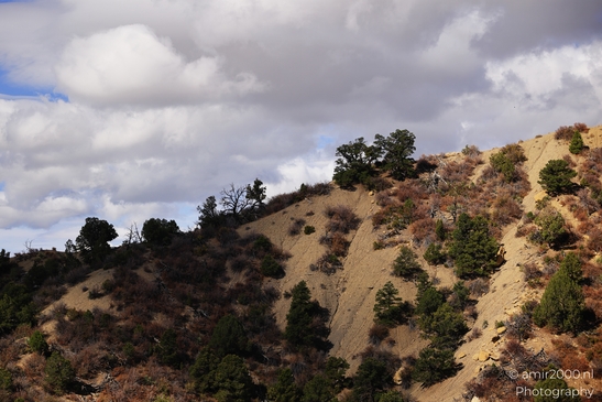 The_Amazing_Mesa_Verde_National_Park_Colorado_USA_Western_USA_Nature_Photography_Canon_EOS_R5_Mark_II_2025_022.JPG