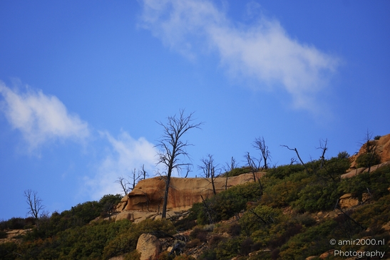 The_Amazing_Mesa_Verde_National_Park_Colorado_USA_Western_USA_Nature_Photography_Canon_EOS_R5_Mark_II_2025_041.JPG