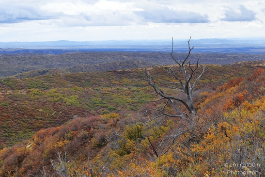 The_Amazing_Mesa_Verde_National_Park_Colorado_USA_Western_USA_Nature_Photography_Canon_EOS_R5_Mark_II_2025_070.JPG