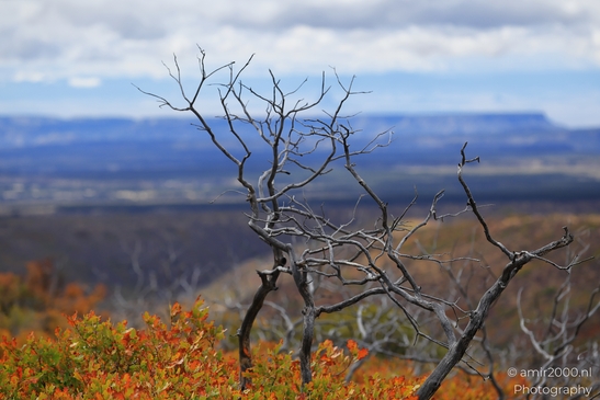 The_Amazing_Mesa_Verde_National_Park_Colorado_USA_Western_USA_Nature_Photography_Canon_EOS_R5_Mark_II_2025_082.JPG
