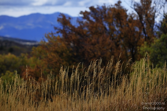 The_Amazing_Mesa_Verde_National_Park_Colorado_USA_Western_USA_Nature_Photography_Canon_EOS_R5_Mark_II_2025_084.JPG