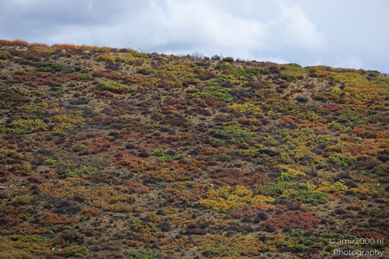 The_Amazing_Mesa_Verde_National_Park_Colorado_USA_Western_USA_Nature_Photography_Canon_EOS_R5_Mark_II_2025_090.JPG