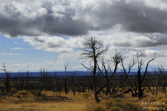 The_Amazing_Mesa_Verde_National_Park_Colorado_USA_Western_USA_Nature_Photography_Canon_EOS_R5_Mark_II_2025_091.JPG