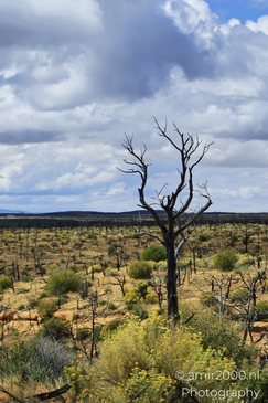 The_Amazing_Mesa_Verde_National_Park_Colorado_USA_Western_USA_Nature_Photography_Canon_EOS_R5_Mark_II_2025_092.JPG
