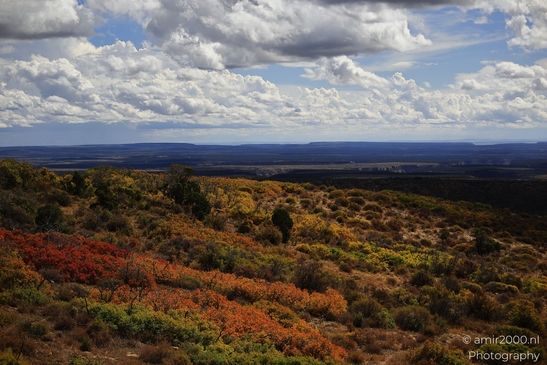 The_Amazing_Mesa_Verde_National_Park_Colorado_USA_Western_USA_Nature_Photography_Canon_EOS_R5_Mark_II_2025_094.JPG