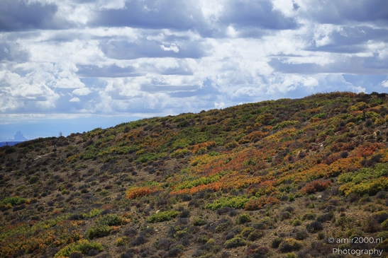 The_Amazing_Mesa_Verde_National_Park_Colorado_USA_Western_USA_Nature_Photography_Canon_EOS_R5_Mark_II_2025_099.JPG