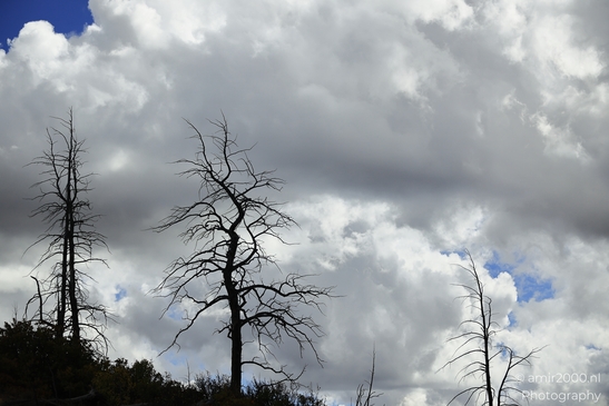 The_Amazing_Mesa_Verde_National_Park_Colorado_USA_Western_USA_Nature_Photography_Canon_EOS_R5_Mark_II_2025_106.JPG