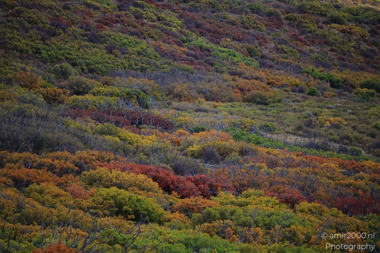 The_Amazing_Mesa_Verde_National_Park_Colorado_USA_Western_USA_Nature_Photography_Canon_EOS_R5_Mark_II_2025_108.JPG