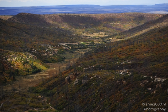 The_Amazing_Mesa_Verde_National_Park_Colorado_USA_Western_USA_Nature_Photography_Canon_EOS_R5_Mark_II_2025_112.JPG