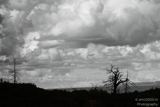 The_Amazing_Mesa_Verde_National_Park_Colorado_USA_Western_USA_Nature_Photography_Canon_EOS_R5_Mark_II_2025_115.JPG