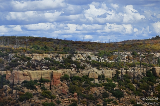 The_Amazing_Mesa_Verde_National_Park_Colorado_USA_Western_USA_Nature_Photography_Canon_EOS_R5_Mark_II_2025_116.JPG