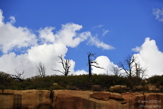 The_Amazing_Mesa_Verde_National_Park_Colorado_USA_Western_USA_Nature_Photography_Canon_EOS_R5_Mark_II_2025_118.JPG