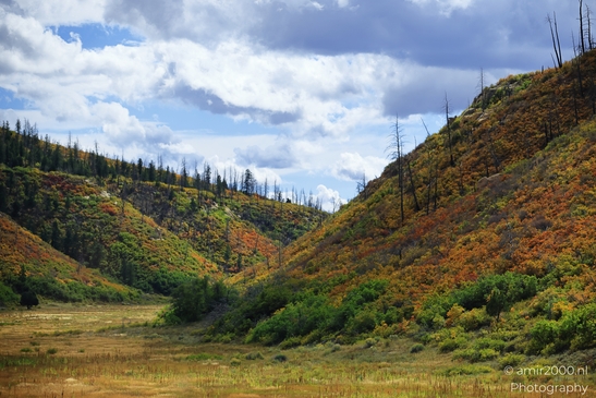 The_Amazing_Mesa_Verde_National_Park_Colorado_USA_Western_USA_Nature_Photography_Canon_EOS_R5_Mark_II_2025_126.JPG