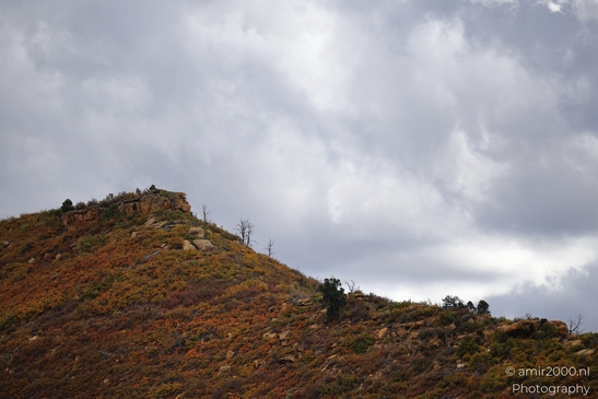 The_Amazing_Mesa_Verde_National_Park_Colorado_USA_Western_USA_Nature_Photography_Canon_EOS_R5_Mark_II_2025_137.JPG