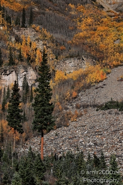 The_Stunning_Mountain_And_Views_Maroon_Bells_Aspen_Colorado_Western_USA_Nature_Photography_Canon_EOS_R5_Mark_II_2025_039.JPG