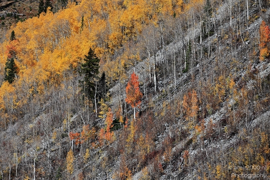The_Stunning_Mountain_And_Views_Maroon_Bells_Aspen_Colorado_Western_USA_Nature_Photography_Canon_EOS_R5_Mark_II_2025_043.JPG