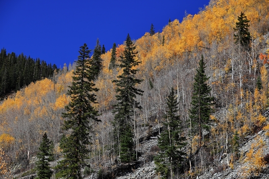 The_Stunning_Mountain_And_Views_Maroon_Bells_Aspen_Colorado_Western_USA_Nature_Photography_Canon_EOS_R5_Mark_II_2025_049.JPG