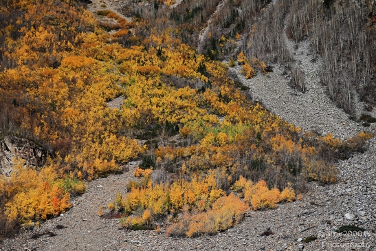 The_Stunning_Mountain_And_Views_Maroon_Bells_Aspen_Colorado_Western_USA_Nature_Photography_Canon_EOS_R5_Mark_II_2025_053.JPG