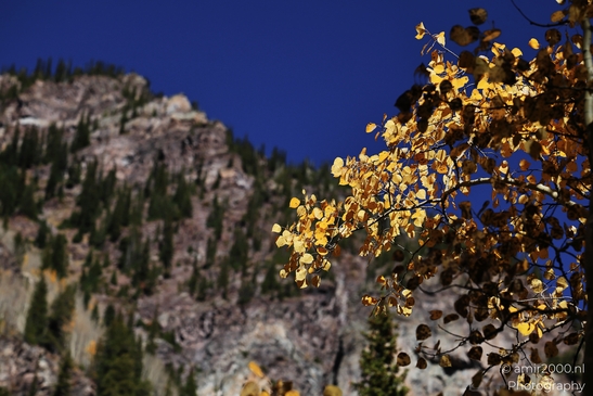 The_Stunning_Mountain_And_Views_Maroon_Bells_Aspen_Colorado_Western_USA_Nature_Photography_Canon_EOS_R5_Mark_II_2025_060.JPG
