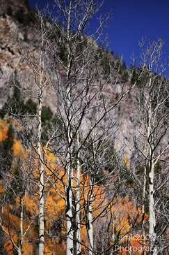 The_Stunning_Mountain_And_Views_Maroon_Bells_Aspen_Colorado_Western_USA_Nature_Photography_Canon_EOS_R5_Mark_II_2025_061.JPG