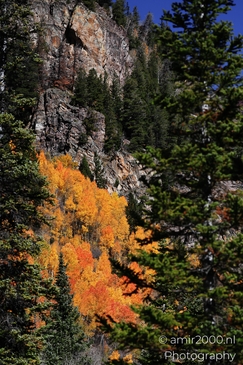 The_Stunning_Mountain_And_Views_Maroon_Bells_Aspen_Colorado_Western_USA_Nature_Photography_Canon_EOS_R5_Mark_II_2025_062.JPG
