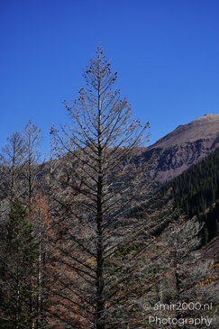 The_Stunning_Mountain_And_Views_Maroon_Bells_Aspen_Colorado_Western_USA_Nature_Photography_Canon_EOS_R5_Mark_II_2025_063.JPG