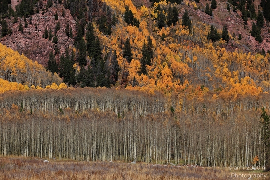 The_Stunning_Mountain_And_Views_Maroon_Bells_Aspen_Colorado_Western_USA_Nature_Photography_Canon_EOS_R5_Mark_II_2025_070.JPG