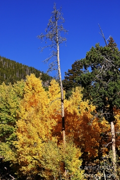 The_way_to_Trail_Ridge_Road_Rocky_Mountain_National_Park_Colorado_Western_USA_Nature_Photography_Canon_EOS_R5_Mark_II_2025_006.JPG