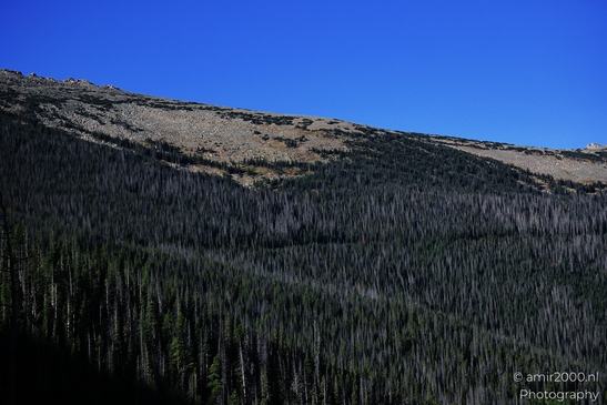 The_way_to_Trail_Ridge_Road_Rocky_Mountain_National_Park_Colorado_Western_USA_Nature_Photography_Canon_EOS_R5_Mark_II_2025_011.JPG
