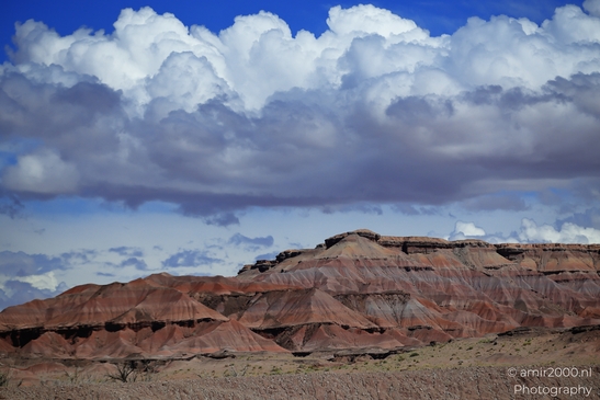 Through_The_Navajo_Nation_To_Colorado_Arizona_USA_Western_USA_Nature_Photography_Canon_EOS_R5_Mark_II_2025_013.JPG