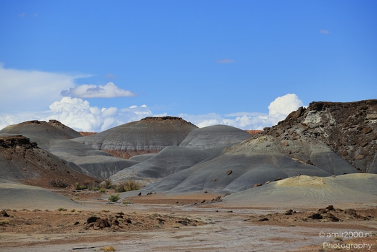 Through_The_Navajo_Nation_To_Colorado_Arizona_USA_Western_USA_Nature_Photography_Canon_EOS_R5_Mark_II_2025_022.JPG