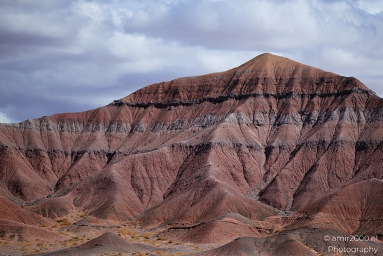 Through_The_Navajo_Nation_To_Colorado_Arizona_USA_Western_USA_Nature_Photography_Canon_EOS_R5_Mark_II_2025_028.JPG