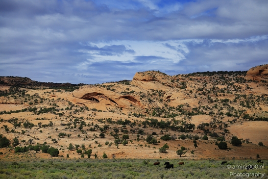 Through_The_Navajo_Nation_To_Colorado_Arizona_USA_Western_USA_Nature_Photography_Canon_EOS_R5_Mark_II_2025_048.JPG