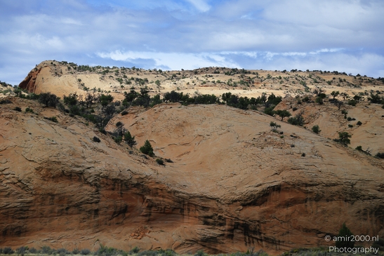 Through_The_Navajo_Nation_To_Colorado_Arizona_USA_Western_USA_Nature_Photography_Canon_EOS_R5_Mark_II_2025_050.JPG