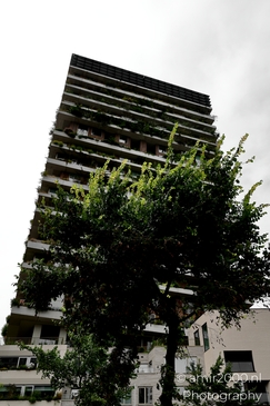 Amsterdam_Vertical_Living_in_a_vertical_garden_Amsterdam_Netherlands_Architecture_Photography_Canon_EOS_R5_Mark_II_2025_008.JPG