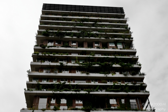 Amsterdam_Vertical_Living_in_a_vertical_garden_Amsterdam_Netherlands_Architecture_Photography_Canon_EOS_R5_Mark_II_2025_009.JPG