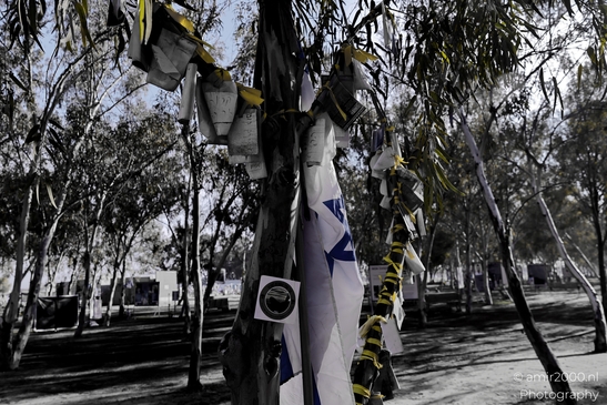 A quiet place of remembrance for the Nova Party tragedy, October 7. Standing among the trees, honoring lives lost and the hope for peace. Photographed by Amir Darzi. Photography by amir2000.nl, a Dutch photographer.