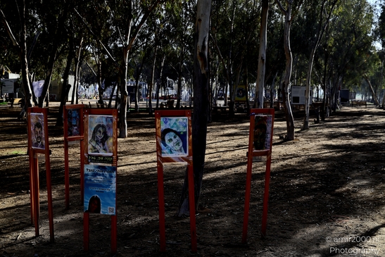 A quiet place of remembrance for the Nova Party tragedy, October 7. Standing among the trees, honoring lives lost and the hope for peace. Photographed by Amir Darzi. Photography by amir2000.nl, a Dutch photographer.