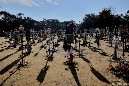 A quiet place of remembrance for the Nova Party tragedy, October 7. Standing among the trees, honoring lives lost and the hope for peace. Photographed by Amir Darzi. Photography by amir2000.nl, a Dutch photographer.