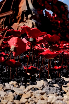 Fragments of lives and stories—the Car Wall Memorial serves as a stark reminder of the events of October 7 and the lives forever changed. Photographed by Amir Darzi. Photography by amir2000.nl, a Dutch photographer.
