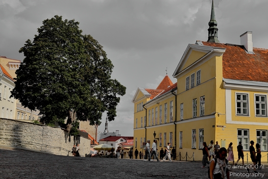 Alexander_Nevsky_Cathedral_Russian_Orthodox_church_Tallinn_Estonia_Cityscape_Photography_Canon_EOS_R5_Mark_II_2025_013.JPG